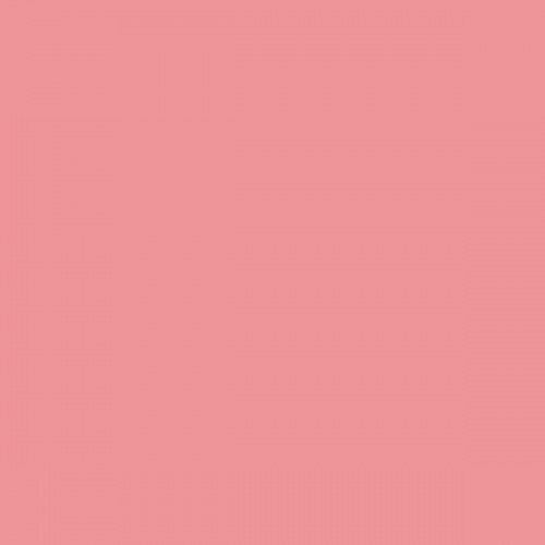 Color NCS  - S-1040-R