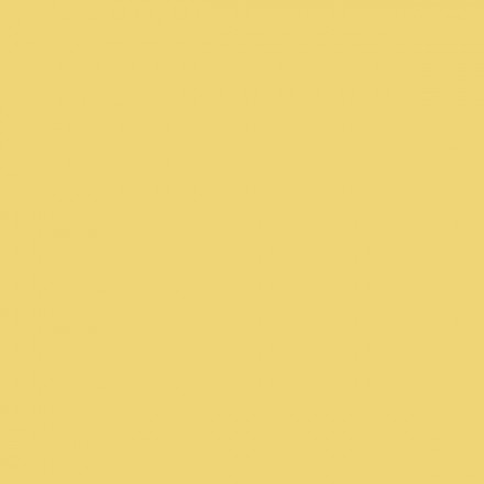 Color NCS  - S-1040-Y
