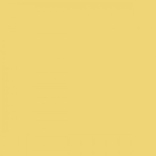 Color NCS  - S-1040-Y