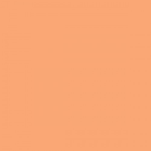 Color NCS  - S-1040-Y50R