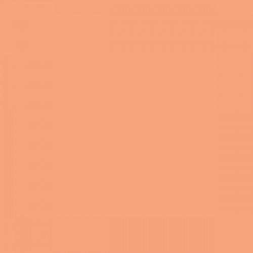 Color NCS  - S-1040-Y60R