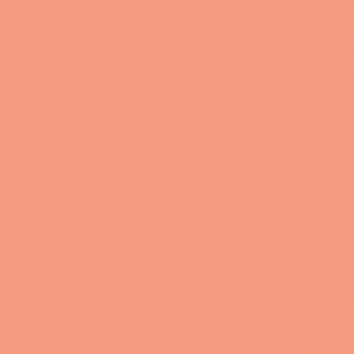 Color NCS  - S-1040-Y70R