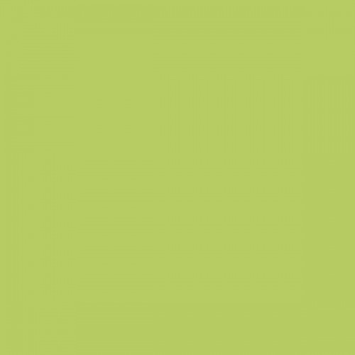 Color NCS  - S-1050-G50Y