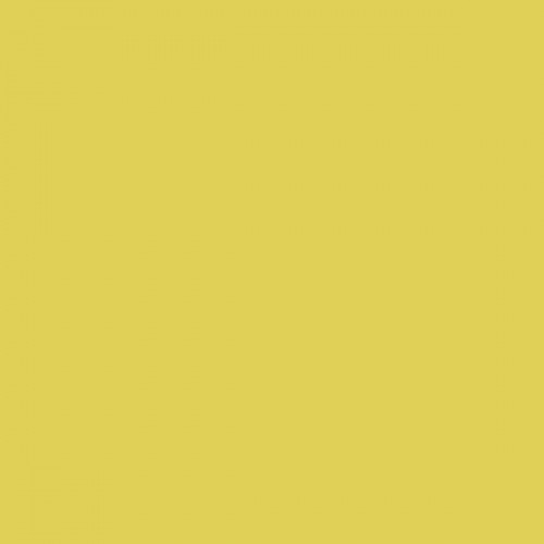 Color NCS  - S-1050-G90Y