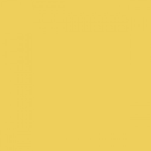 Color NCS  - S-1050-Y