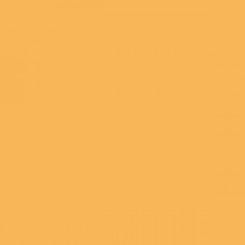 Color NCS  - S-1050-Y20R