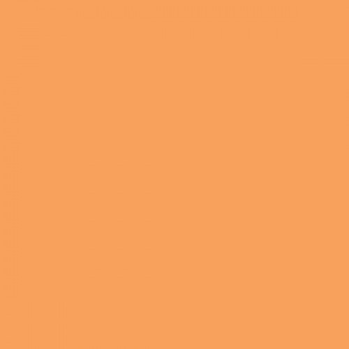 Color NCS  - S-1050-Y40R