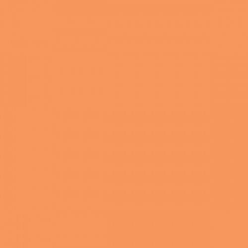 Color NCS  - S-1050-Y50R