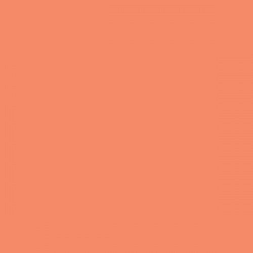 Color NCS  - S-1050-Y70R