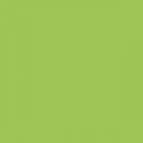 Color NCS  - S-1060-G40Y