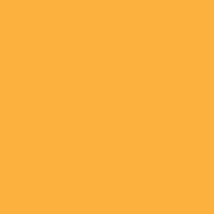 Color NCS  - S-1060-Y20R