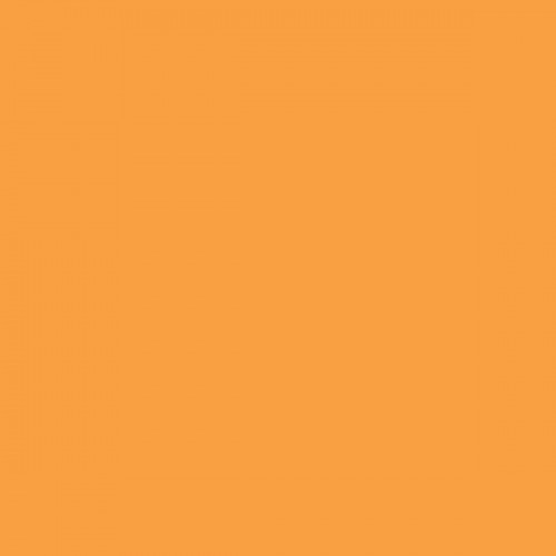 Color NCS  - S-1060-Y30R