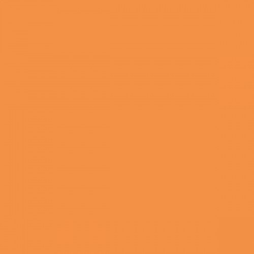 Color NCS  - S-1060-Y40R