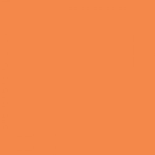 Color NCS  - S-1060-Y50R