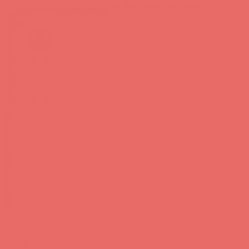 Color NCS  - S-1060-Y90R
