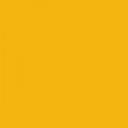 Color NCS  - S-1070-Y10R