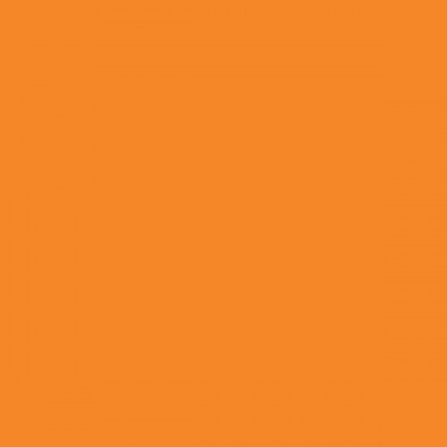 Color NCS  - S-1070-Y40R