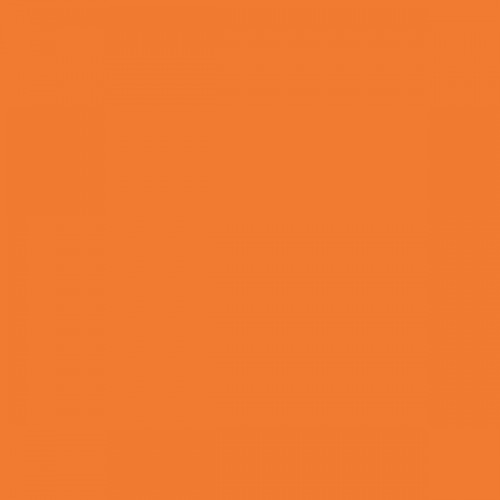 Color NCS  - S-1070-Y50R