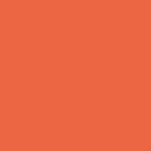 Color NCS  - S-1070-Y70R