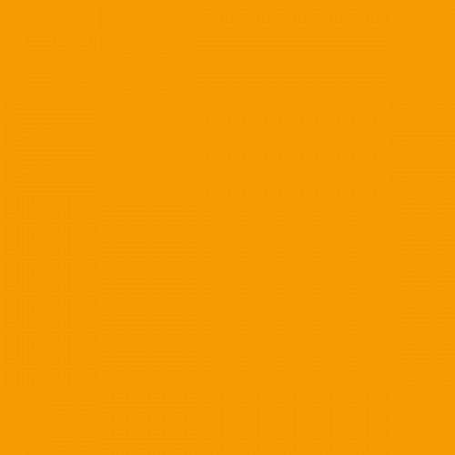 Color NCS  - S-1080-Y20R