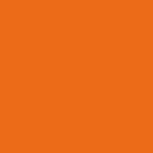 Color NCS  - S-1080-Y50R