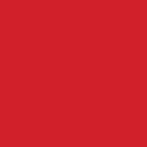 Color NCS  - S-1080-Y90R
