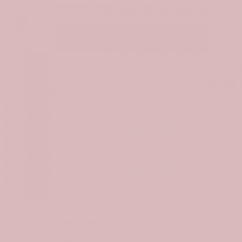 Color NCS  - S-1515-R10B