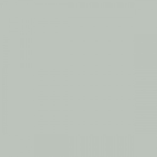 Color NCS  - S-2005-G10Y