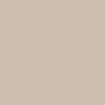 Color NCS  - S-2005-Y40R