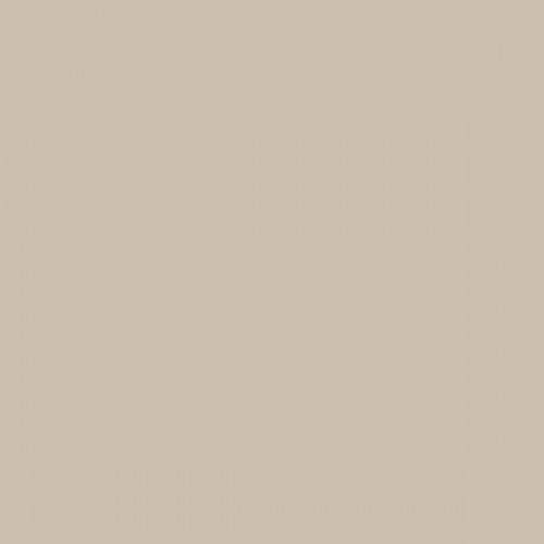 Color NCS  - S-2005-Y40R