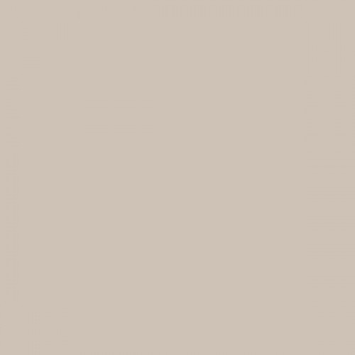 Color NCS  - S-2005-Y60R