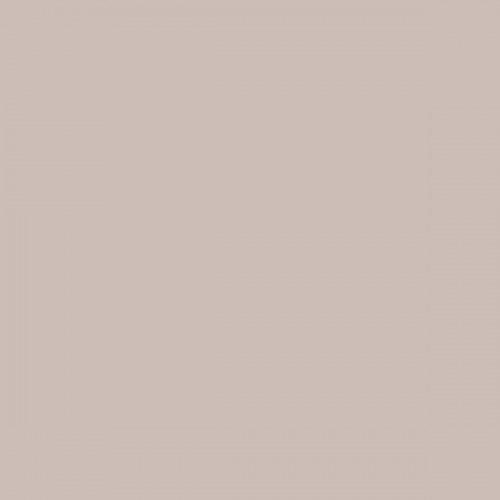 Color NCS  - S-2005-Y70R