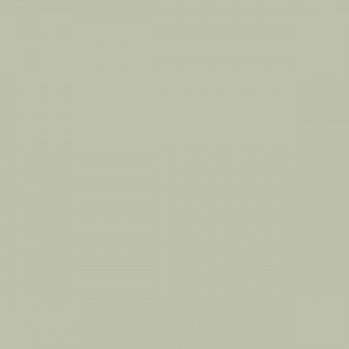 Color NCS  - S-2010-G60Y