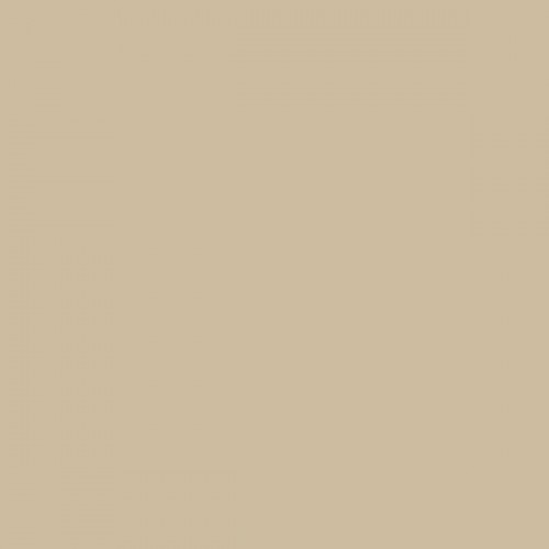 Color NCS  - S-2010-Y20R