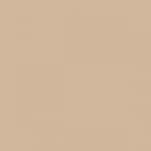 Color NCS  - S-2010-Y40R