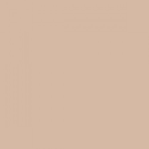 Color NCS  - S-2010-Y50R