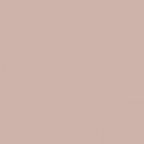 Color NCS  - S-2010-Y80R