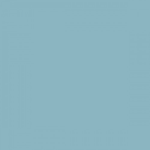 Color NCS  - S-2020-B10G
