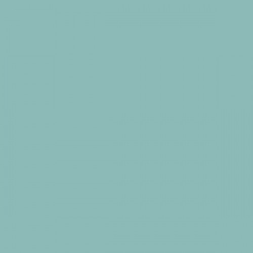 Color NCS  - S-2020-B50G