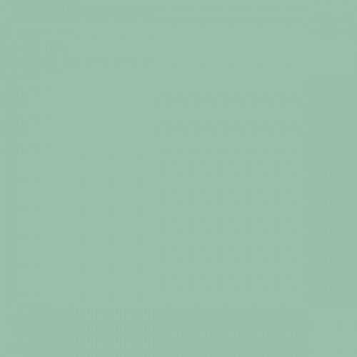 Color NCS  - S-2020-G