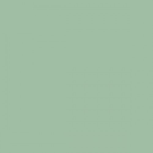 Color NCS  - S-2020-G10Y