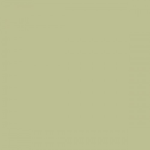 Color NCS  - S-2020-G60Y
