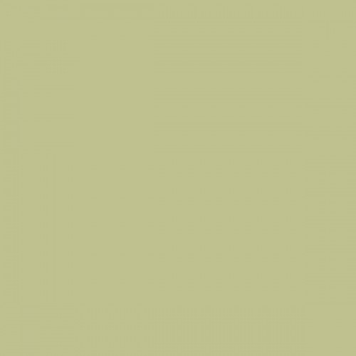 Color NCS  - S-2020-G70Y