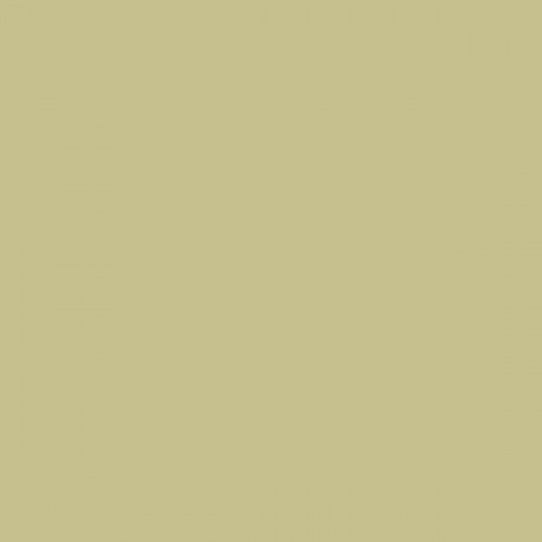 Color NCS  - S-2020-G80Y