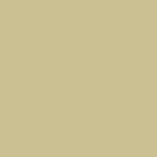 Color NCS  - S-2020-G90Y