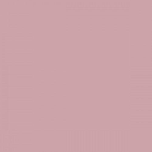 Color NCS  - S-2020-R10B