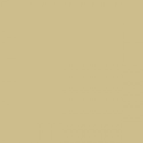 Color NCS  - S-2020-Y