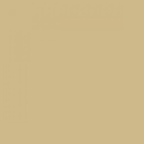 Color NCS  - S-2020-Y10R
