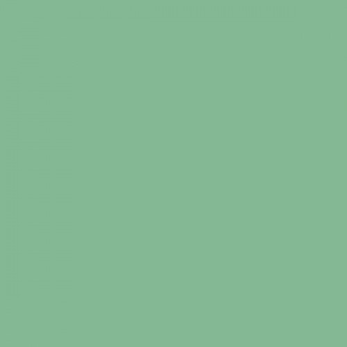 Color NCS  - S-2030-G10Y
