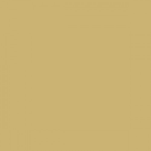 Color NCS  - S-2030-Y